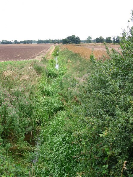 File:Carr Lane - Drain - geograph.org.uk - 41138.jpg