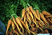 Karotte (auch das Kraut kann verwendet werden; Bundkarotten) (violette Karotten sind Morá und Beta Sweet, es gibt auch weiße Karotten)