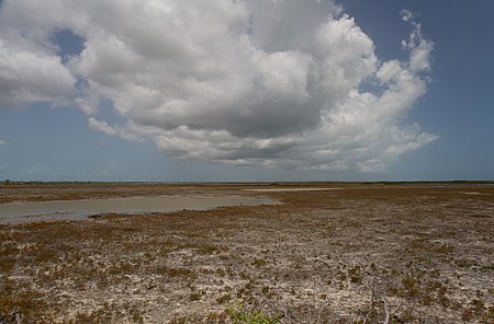 Cayo Romano CF9A4798 Cuba.jpg