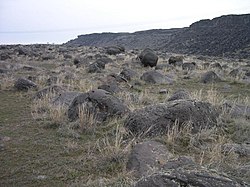 A collection of large, black boulders scattered throughout a valley within a basalt canyon. Boulders are surrounded by beige colored grasses.