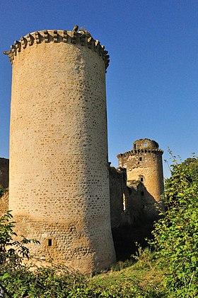 Illustrativt billede af artiklen Château de la Prune-au-Pot