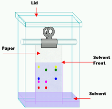 Chromatography