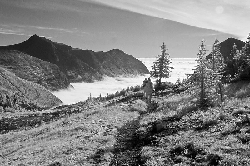 File:Clouds in Valley, Swiftcurrent Pass Trail (4172578428).jpg