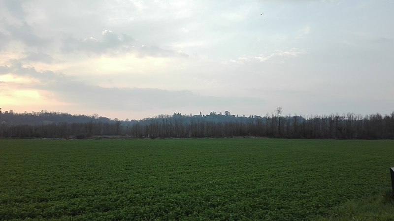 File:Colline di Pombia.jpg