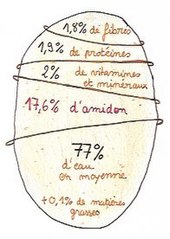 Schéma simplifié de la proportion des composants d'un tubercule (voir « Féculerie »). Ces chiffres varient selon les variétés.