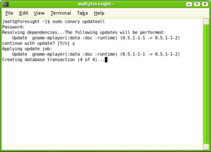 Terminalda ishlaydigan Conary-ning skrinshoti
