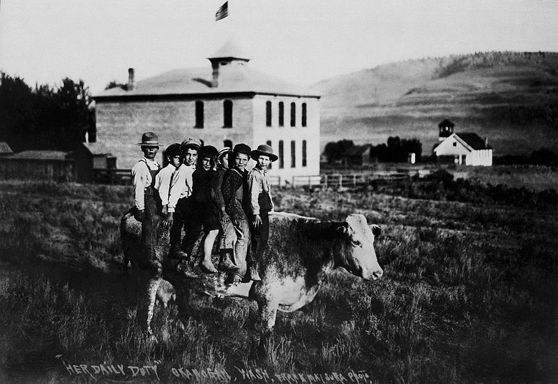 File:Cow with seven small boys on her back poses in front of schoolhouse in Okanogan, Wash. By Frank Matsur - NARA - 532039 restored.jpg