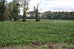 Thumbnail for File:Cropland - geograph.org.uk - 6422051.jpg