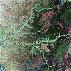 False-color Landsat 7 image of the canyon