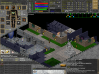 Massively Multiplayer Online Role-Playing Game