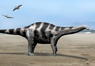 <i>Demandasaurus</i> genus of rebbachisaurid sauropod (fossil)