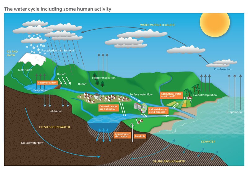 File:Diagram of the water cycle including some human activity.pdf