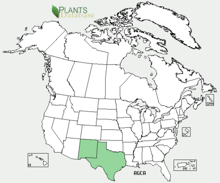 Distribution of Agastache cana.png