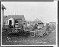 Dog sleds of the Stefansson-Anderson Canadian-Arctic expedition. Built in Nome, Alaska, 1913 LCCN91732318.jpg