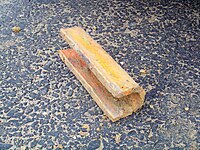 Old drain tile excavated from a construction site on a farm in Monmouth County, NJ DrainTile1.jpg