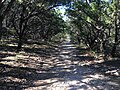 Eisenhower Park in San Antonio, TX.jpg