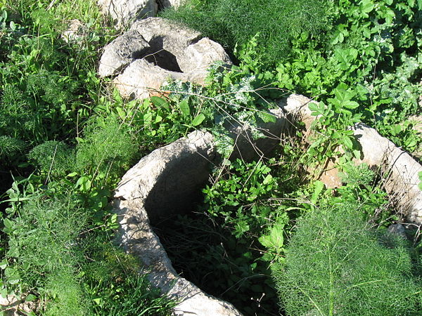 Olive oil press found in Tel Miqne