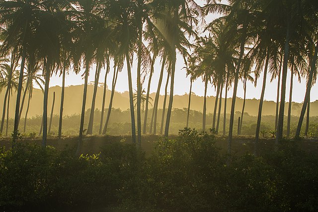 File:Entardecer_no_Refúgio_do_Rio_dos_Frades.jpg