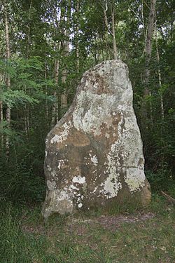 A Pierre-Fitte (Beautheil) cikk szemléltető képe