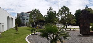 Universidad Michoacana de San Nicolás de Hidalgo