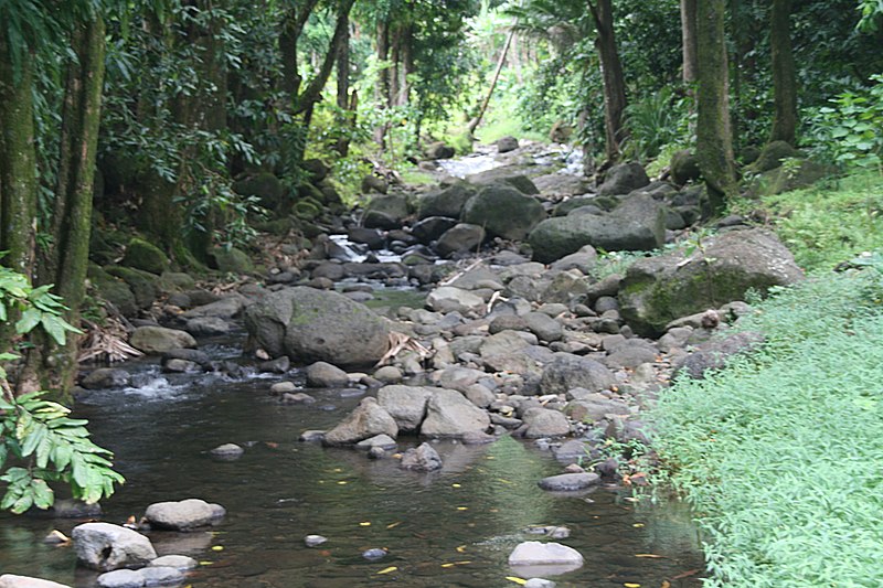 File:FatuIva HanavaveRiver 20061111.jpg