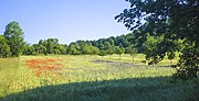 Vorschaubild für Liste der Naturschutzgebiete im Landkreis Rhön-Grabfeld