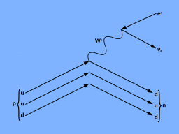 Feynmann Diagram beta plus decay