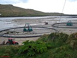 Fish farming on Achill Island