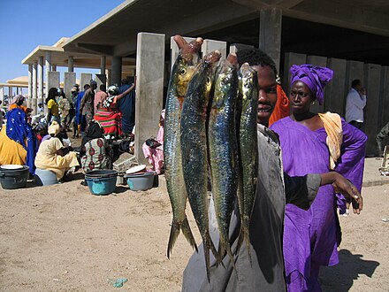 Fisherman's market near Nouakchott.