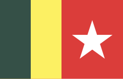 Flag of BNP (Awami).svg