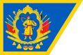 Основной мотив полковых и сотенных хоругвей Войска Запорожского (Гетманщины)