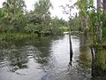 Fluss „Água Limpa do Araguaia“