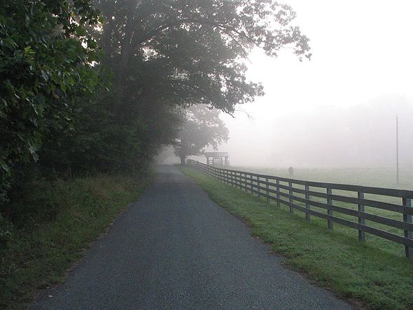 Foggy morning road