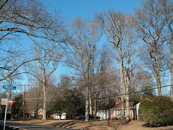 Houses in Fort Hunt