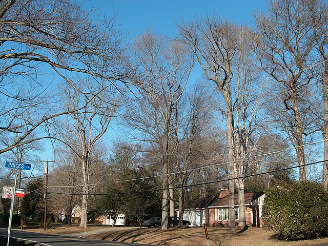 Houses in Fort Hunt