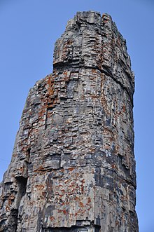 Fossil redwood tree trunk (probably Metasequoia) (Sepulcher Formation, Eocene; "Petrified Tree", Yellowstone National Park, Wyoming, USA) 18 (13460418925).jpg