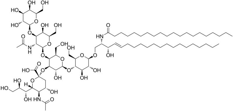 File:GM1 ganglioside.png