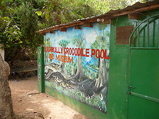 <span class="mw-page-title-main">Kachikally Museum and Crocodile Pool</span> Museum & Crocodile Pool