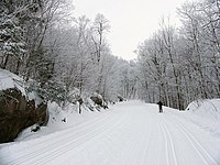 Skieur, Parc de la Gatineau