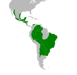 Glaucidium brasilianum map.svg