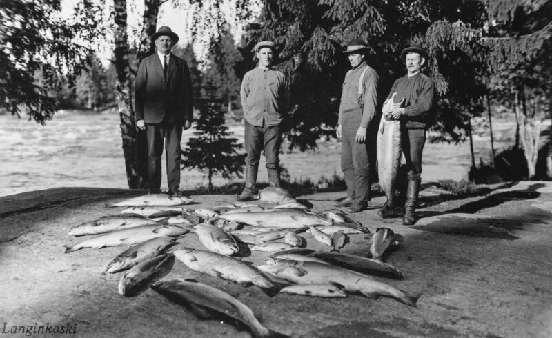 File:Good salmon catch 1928 (JOKAOT3LU5LO-1).tif