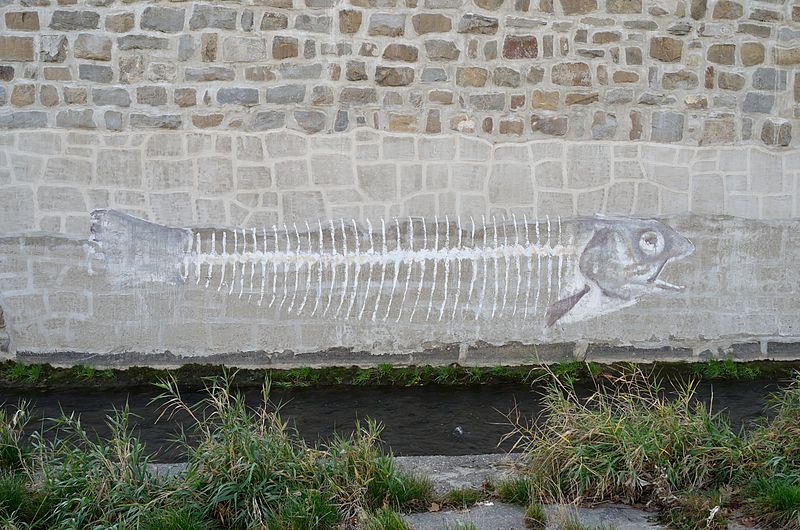 File:Graffiti Wien river - fish bones.jpg