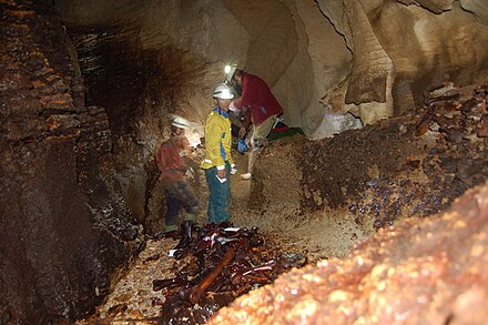 Palaeontologists working on moa bone deposits in the 'Graveyard', Honeycomb Hill Cave System: This cave is a closed scientific reserve.