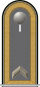 Service suit ensign pioneer troop