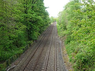 <span class="mw-page-title-main">Heads Nook railway station</span> Disused railway station in Cumbria on the Tyne Valley Line