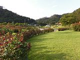 東沢バラ公園