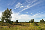 Barnack Hills & Holes National Nature Reserve