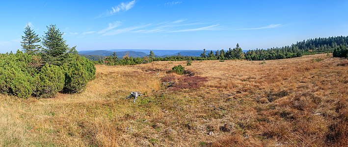 Hornisgrinde raised bog Northern Black forest