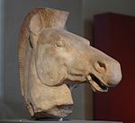 Horse head Athens Louvre.jpg