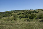 Hundsheimer Berg (nature reserve)